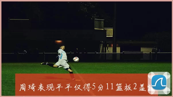 周琦表现平平仅得5分11篮板2盖帽展现防守能力却难助球队取胜